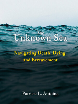 cover image of The Unknown Sea